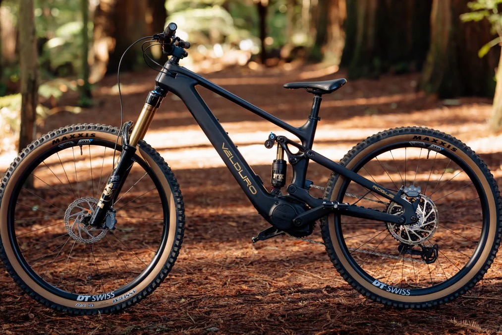 Picture for category E-Bike