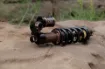 Picture of EXT Arma V4 Shock